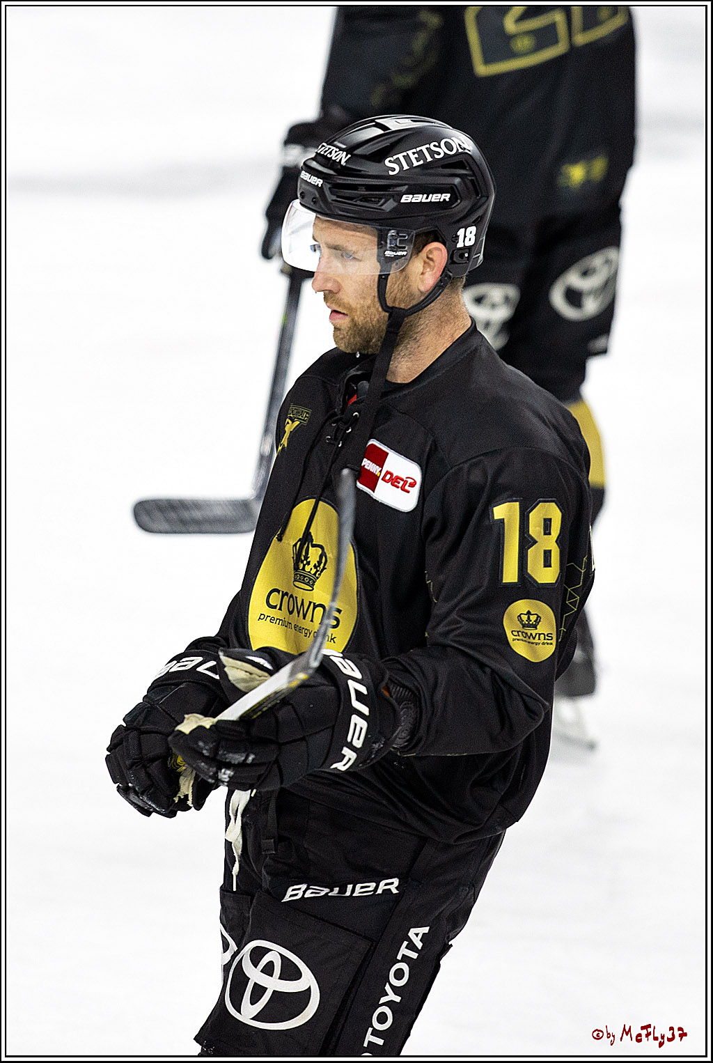 PENNY DEL;  Kölner Haie - ERC Ingolstadt; Köln, 25.11.2022